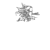 Amp